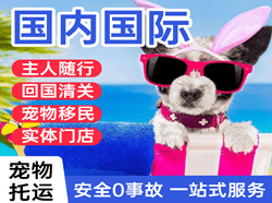 路桥机场货运国际宠物托运 【国
